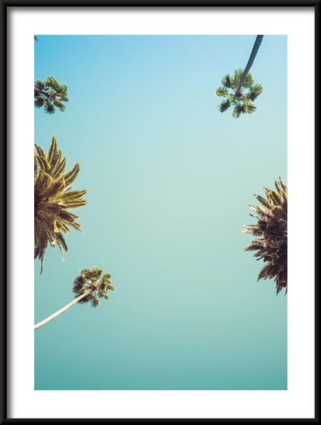 Affiche Sous les palmiers – Image 3