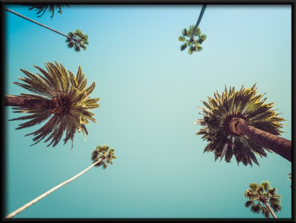 Affiche Sous les palmiers – Image 2