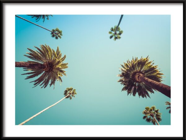 Affiche Sous les palmiers