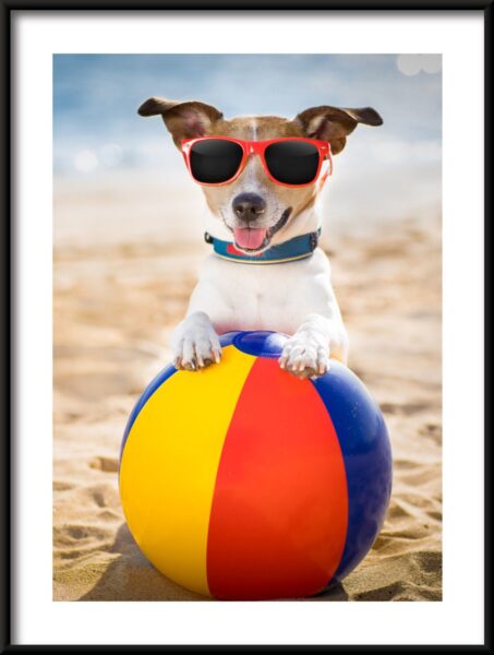 Chien en vacances Poster – Image 3