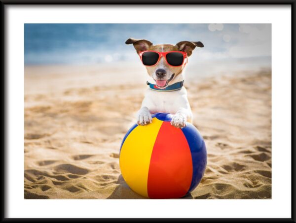 Chien en vacances Poster