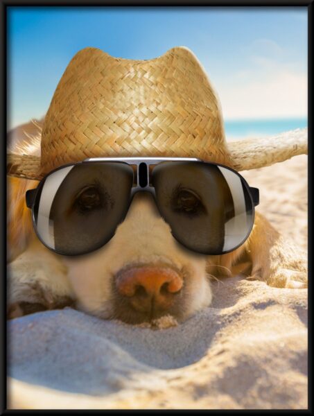 Chien sur la plage Poster – Image 4