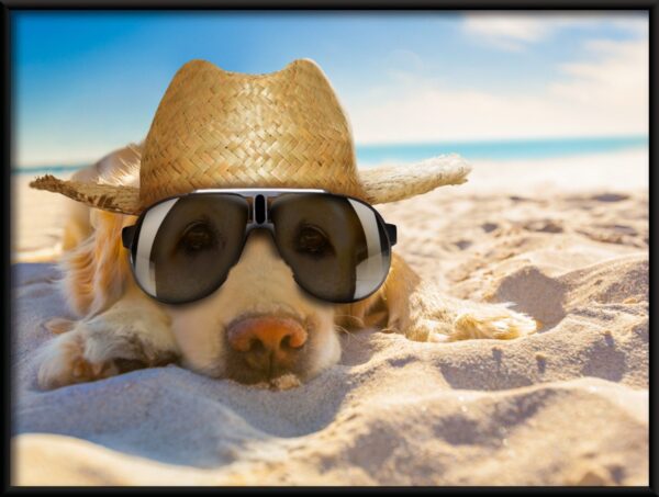 Chien sur la plage Poster – Image 2