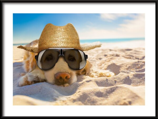 Chien sur la plage Poster