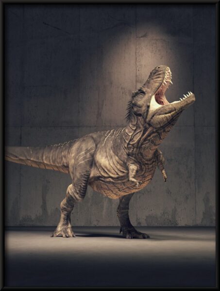 Affiche du Tricératops rugissant – Image 4