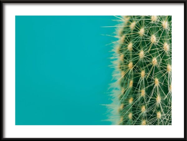 La moitié d'une affiche de cactus