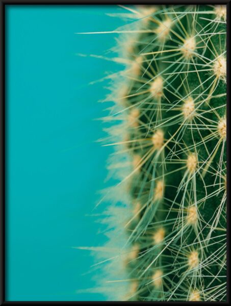 La moitié d'une affiche de cactus – Image 4