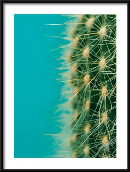 La moitié d'une affiche de cactus – Image 3