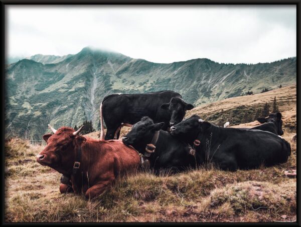 Affiche Repos dans les montagnes – Image 2