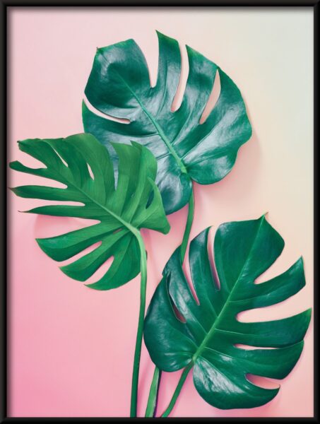 Affiche verte et rose – Image 4