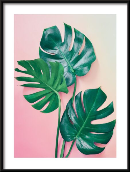 Affiche verte et rose – Image 3