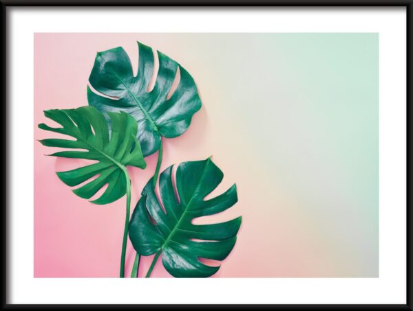 Affiche verte et rose