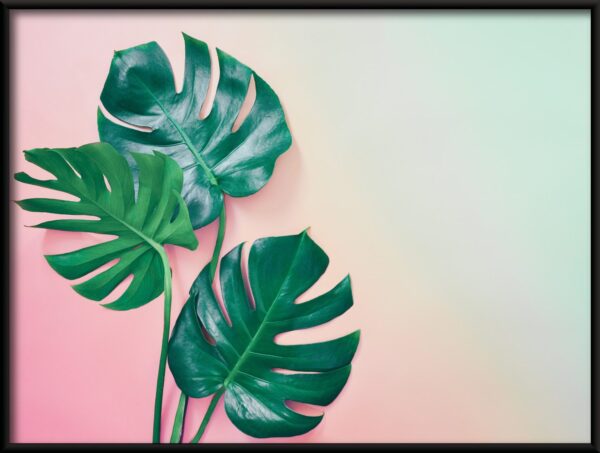 Affiche verte et rose – Image 2