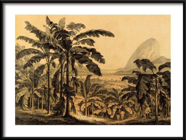 Affiche imprimé jungle