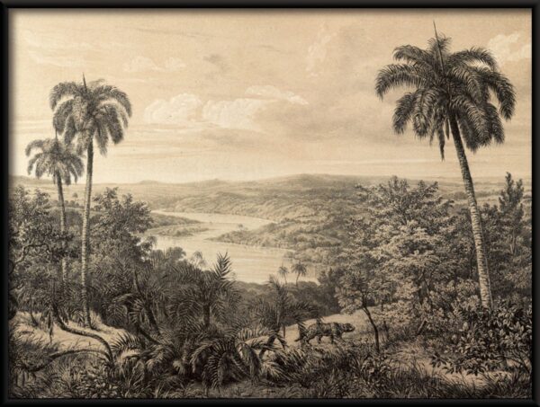 Ancienne affiche d'Amazon – Image 2