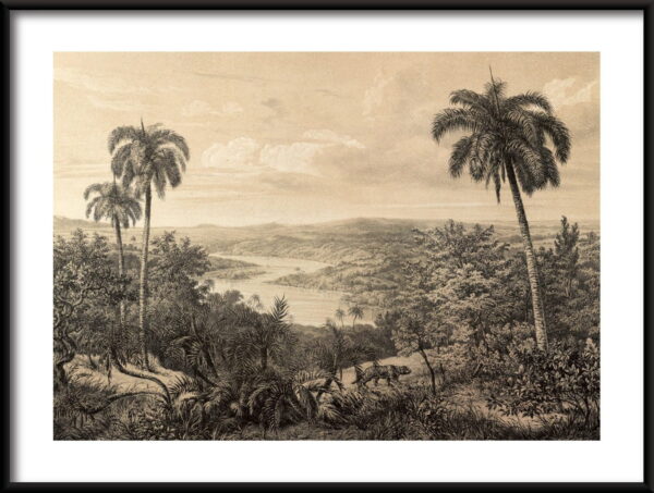 Ancienne affiche d'Amazon