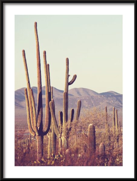 Affiche forêt de cactus – Image 3