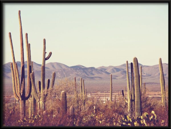 Affiche forêt de cactus – Image 2