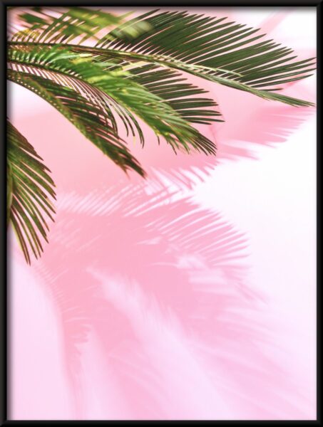 Affiche d'ombre de palmier – Image 2