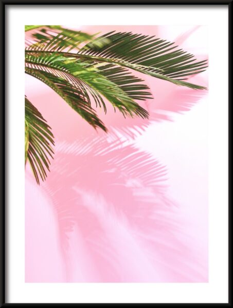Affiche d'ombre de palmier