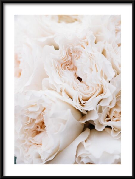 Bouquet de crème Poster