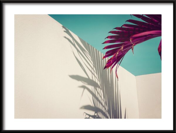 Paume Rouge Poster