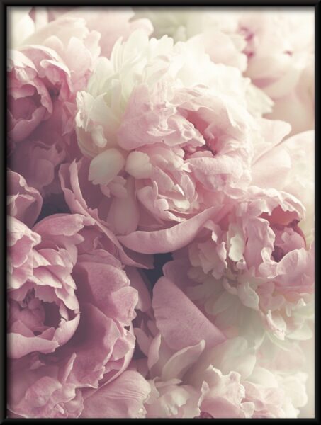 Affiche Bouquet de pivoines – Image 4