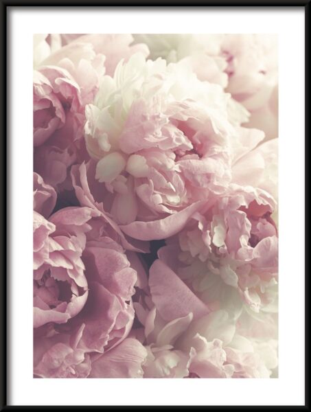 Affiche Bouquet de pivoines – Image 3