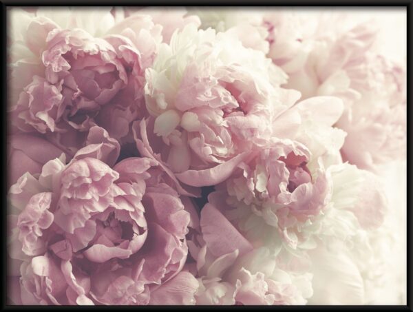 Affiche Bouquet de pivoines – Image 2