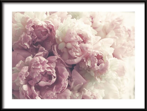 Affiche Bouquet de pivoines