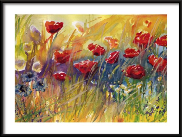 Affiche coquelicots et bleuets