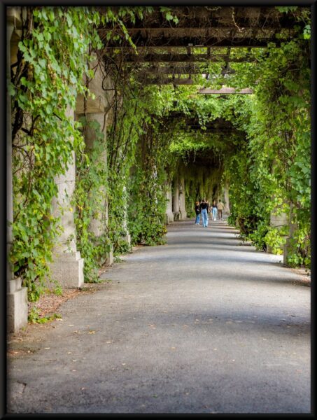 Colonnes d'affiches dans la verdure – Image 4