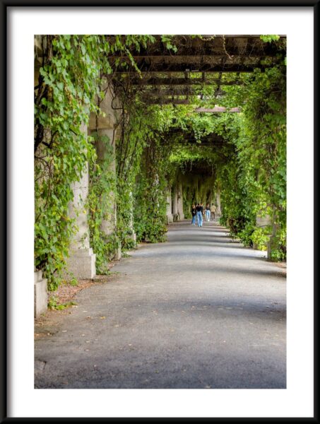 Colonnes d'affiches dans la verdure – Image 3