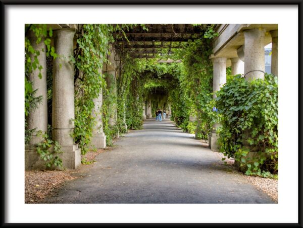 Colonnes d'affiches dans la verdure