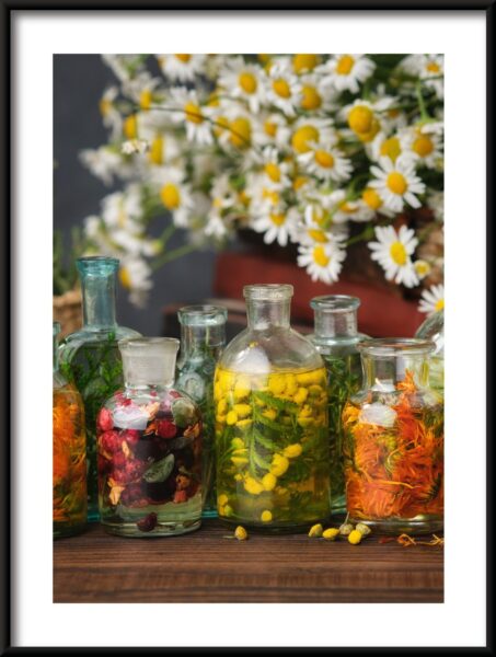 Herbes dans le verre Poster – Image 3