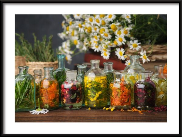 Herbes dans le verre Poster