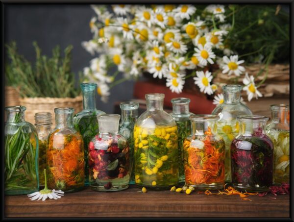 Herbes dans le verre Poster – Image 2