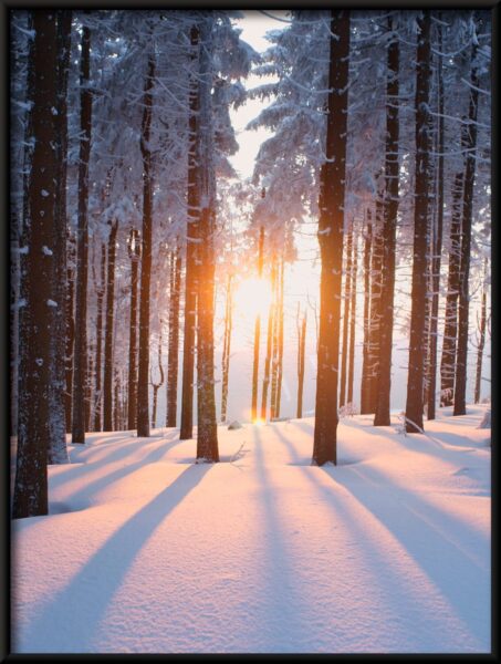 Affiche soleil d'hiver – Image 4