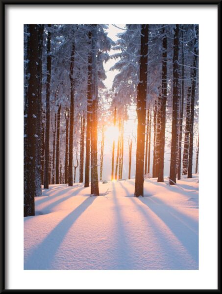 Affiche soleil d'hiver – Image 3