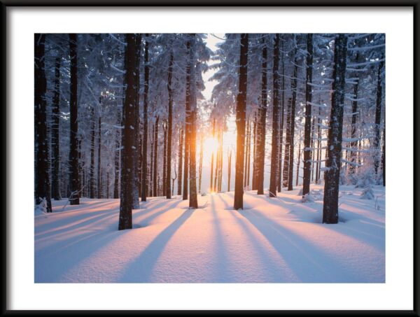 Affiche soleil d'hiver