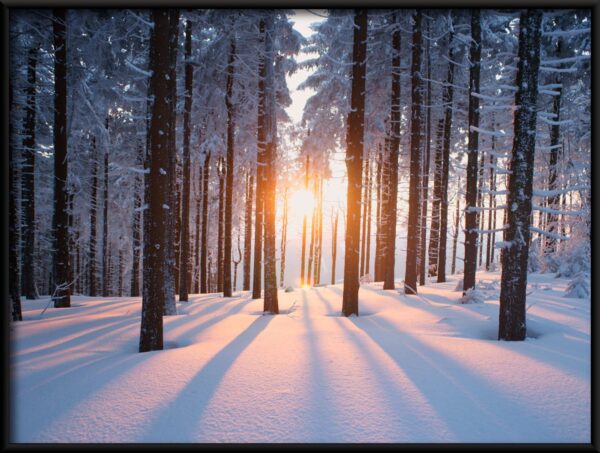 Affiche soleil d'hiver – Image 2