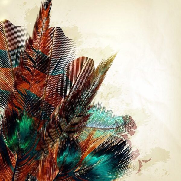 Peinture murale Composition avec des plumes