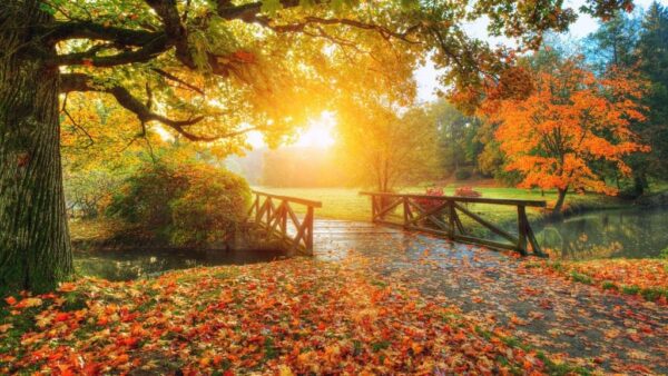 Peinture murale Pont d'automne