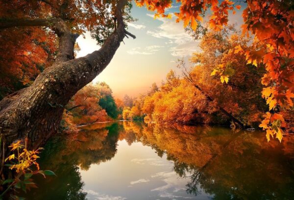 Peinture murale Lac d'automne