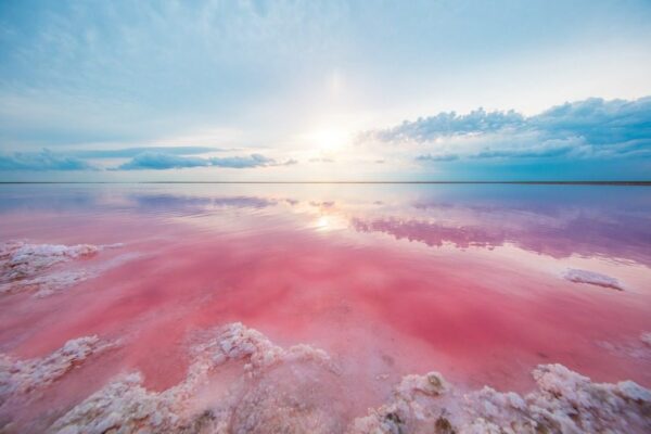 Poster XXL Lac rose