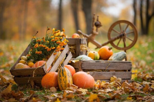 Peinture murale Composition d'automne