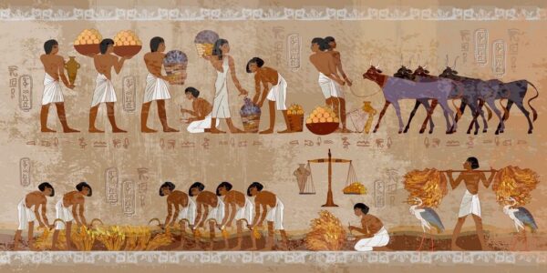 Peinture murale Récolte en Egypte