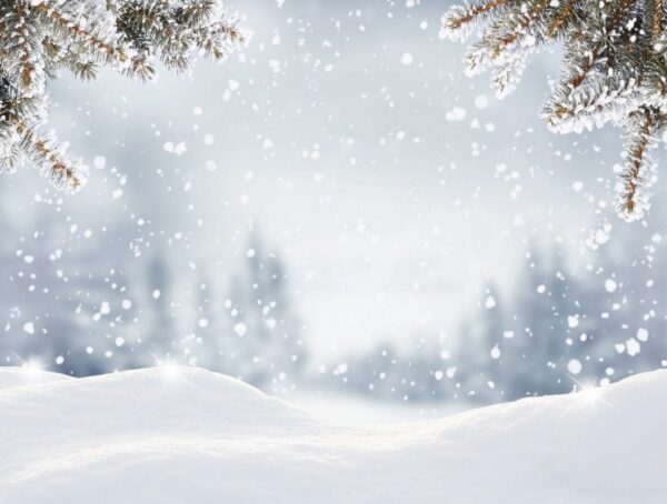 Peinture murale Flocons de neige