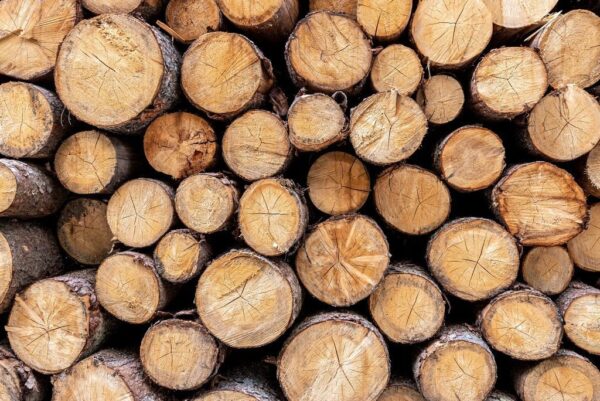 Peinture murale Pile de bois