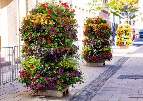 Sticker mural Parterres de fleurs